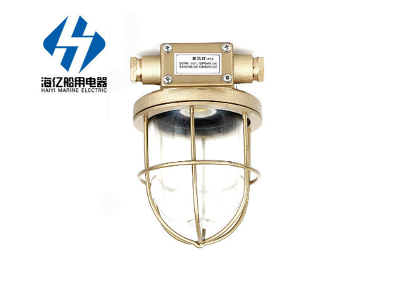 marine waterproof incandescent pendant light 220V 60W